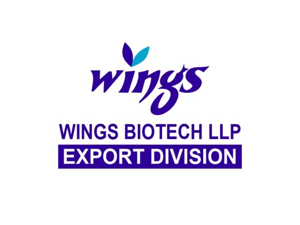 Wings Export Division logo